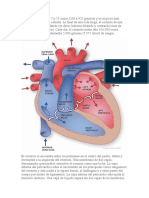 El Corazon