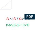 Anatomie PDF