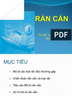 Rắn Cắn