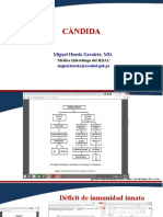 Candida, Cripto, Actino