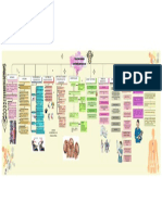 Mapa Conceptual de Traumatismo Vertebromedular