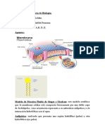 3° Año - Biologia