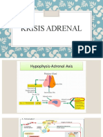 Krisis Adrenal