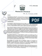 R.D.Nº 323-HNAL-D-2022.pdf