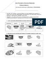 Prueba Formativa Ciencias Naturales