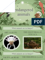Animales en Peligro de Extincion