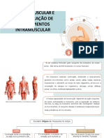 8 - Sistema Muscular e Via Intramuscular