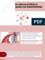 9 - Sistema Circulatório e Via Endovenosa