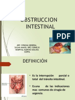 Obstruccionintestinal1 221130014455 0d5fecad