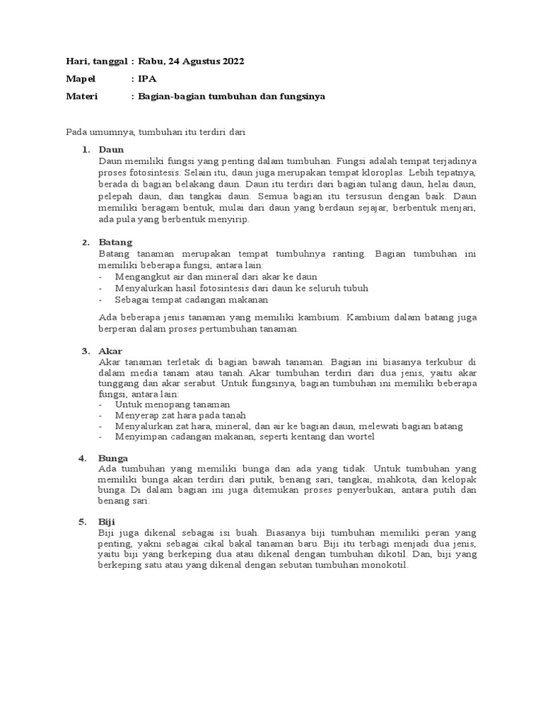 IPA (Bagian-Bagian Tumbuhan Dan Fungsinya) | PDF