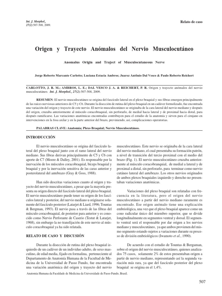 art-33-pdf-sistema-nervioso-neuroanatom-a