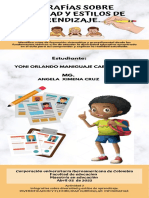 Actividad 2 Infografias Sobre Diversidad y Estilos de Aprendizaje.