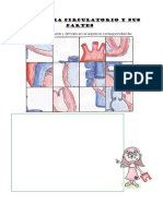 Ficha Del Sistema Circulatorio