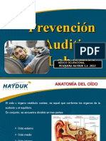 Prevencion Auditiva Laboral