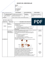 Sesion de Aprendizaje: Sistema Excretor