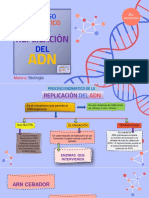 Proceso Enzimatico