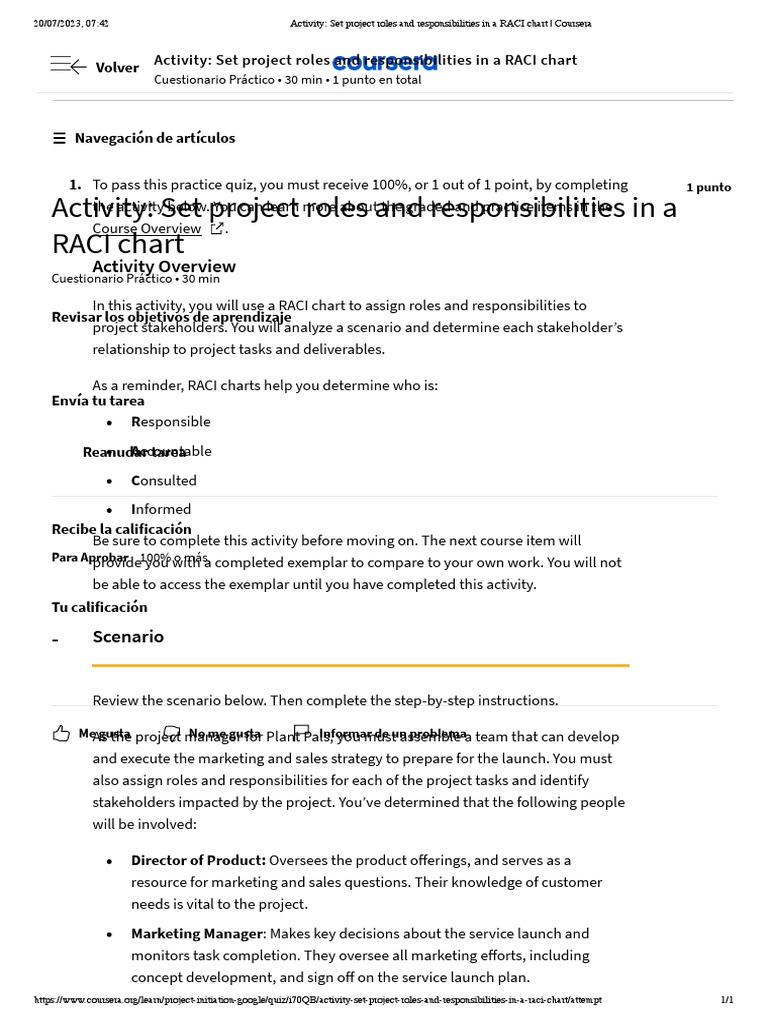 RACI Chart for Project Roles Assignment | PDF | Business | Human ...