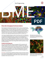 Biomedical Imaging and Instrumentation 2021 - 0