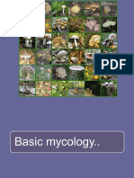Basic Mycology