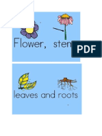 Parts of A Plant