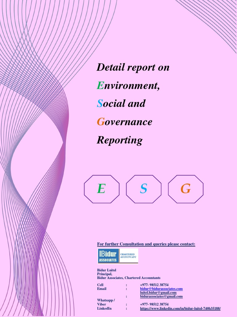 Report On Environment, Social and Governance Reporting | PDF ...