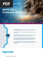 MKTG 303 - Consumer Behaviour: Semester 2 2022