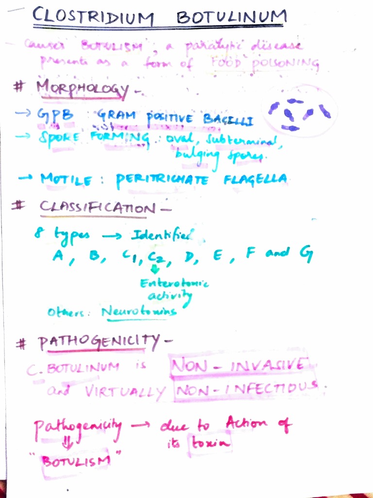 Clostridium Botulinum Mt29 Pdf Environmental Science Hazards