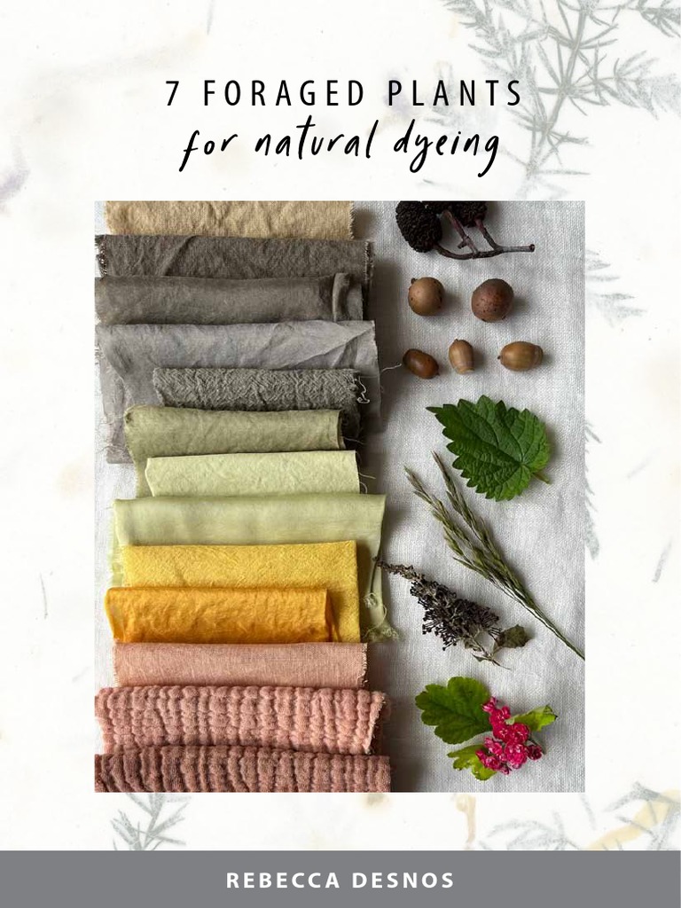 7 Foraged Plants For Natural Dyeing Rebecca Desnos PDF Trees Oak