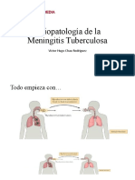 Fisiopatología de La MEC-TB