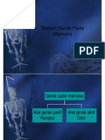 Dokumen - Tips - PPT Rangka Manusia