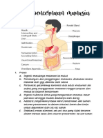 Sistem Pencernaan Manusia