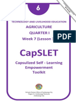 Tle 6-Capslet-Agri - w7 l1 Eric Benito 1