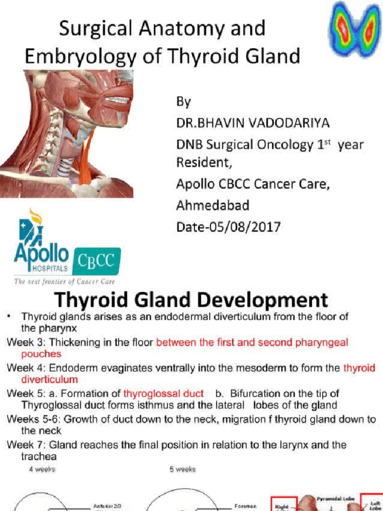 Clinical Anatomy of Thyroid Gland | PDF