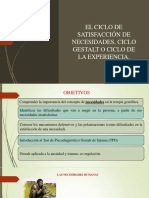 El Ciclo de Satisfaccion de Necesidades