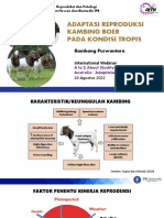 Bambang Purwantara-Webinar Kambing Boer