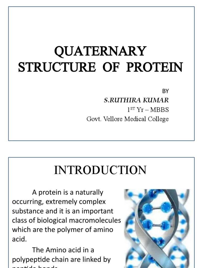 Quaternary Structure of Protein PDF Hemoglobin Proteins