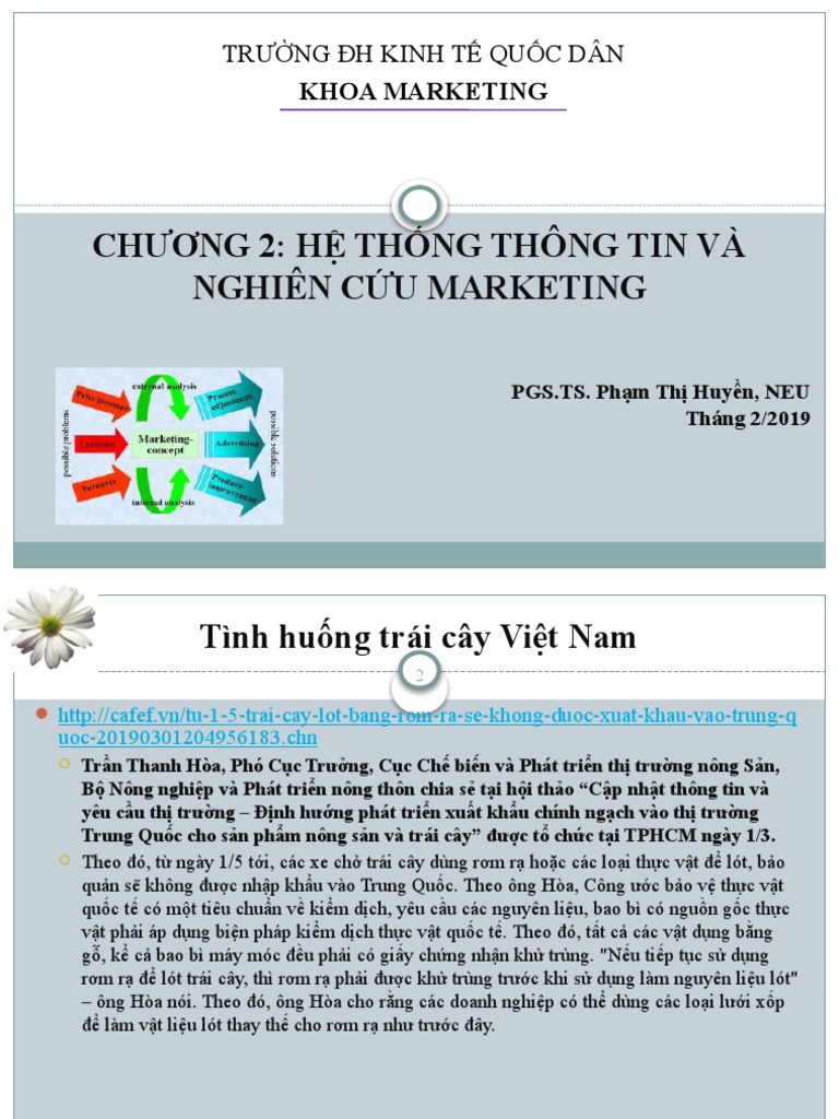 Chương 2. Nghien Cuu Marketing | PDF
