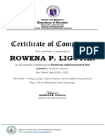 Esat Certificate 2023 Grade 2
