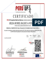 Certificado - Riesgo Electrico - Balseca Avendaño Hilda Muriel