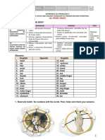 Lesson 3 - Aprnd. 4 - Parts of The Body - 2do.