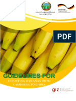 Final Banana Guidelines Eng Version