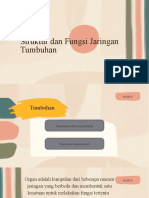 Struktur Dan Fungsi Jaringan Tumbuhan