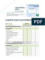 IC 12 Month Cash Flow Forecast 8897