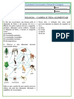 Classificação Biologica