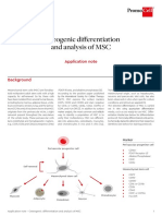 Osteogenic Differentiation and Analysis of MSC