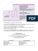 Ventana de Tolerancia y Sistema Nervioso