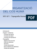UF1 - NF3 Topografia Humana