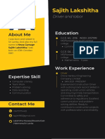 Professional CV Resume