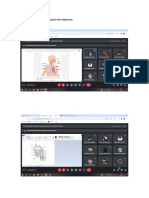 Sistema de Respiracion U Organos de Respiracion