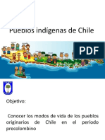 Pueblos Indígenas de Chile